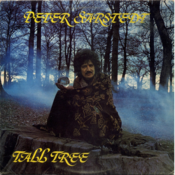 Peter Sarstedt Tall Tree Vinyl LP USED