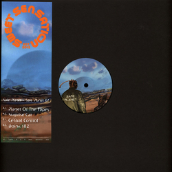 Safe Planet Safe Planet EP Vinyl 12" USED