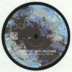 Boo Williams Replenish Vinyl 12" USED