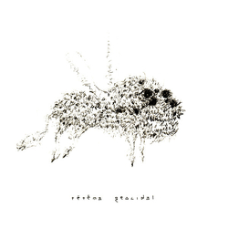 Tētēma Geocidal Vinyl LP USED