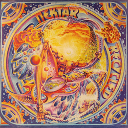 Nektar Recycled Vinyl LP USED
