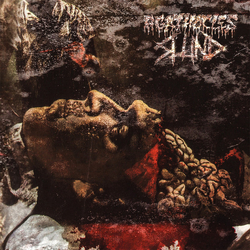 Agathocles / Slund Agathocles / Slund Vinyl 7" USED