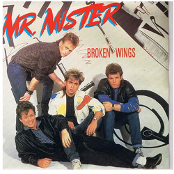 Mr. Mister Broken Wings Vinyl 7" USED