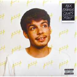 Rex Orange County Pony Vinyl LP USED