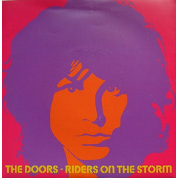 The Doors Riders On The Storm Vinyl 7" USED