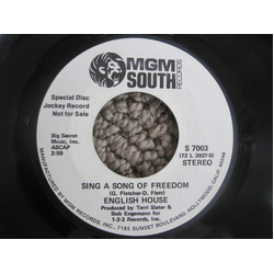 English House Sing A Song Of Freedom Vinyl 7" USED