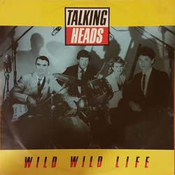Talking Heads Wild Wild Life Vinyl 12" USED