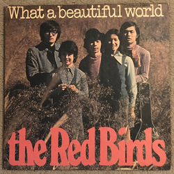 Akai Tori What A Beautiful World Vinyl LP USED