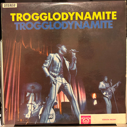 The Troggs Trogglodynamite Vinyl LP USED
