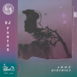DJ Panthr Jade District Vinyl LP USED