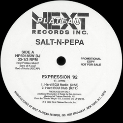 Salt 'N' Pepa Expression '92 / Do You Want Me '92 Vinyl 12" USED