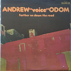 Andrew Odom Farther On Down The Road Vinyl LP USED
