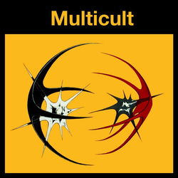 Multicult Position Remote Vinyl LP USED