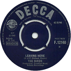 The Birds Leaving Here Vinyl 7" USED
