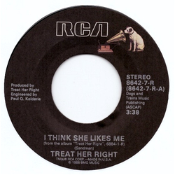 Treat Her Right I Think She Likes Me Vinyl 7" USED