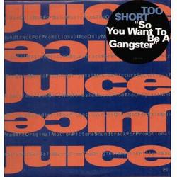 Too Short So You Want To Be A Gangster Vinyl 12" USED