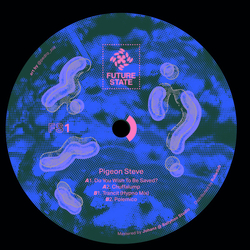Pigeon Steve FS1 Vinyl 12" USED
