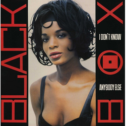 Black Box I Don't Know Anybody Else Vinyl 12" USED