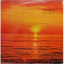 Tony Palkovic Deep Water Vinyl LP USED