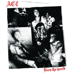 AC4 Burn The World Vinyl LP USED