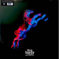 Billy Nomates Metal Horse Vinyl LP USED