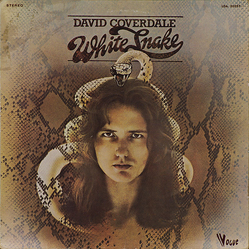 David Coverdale Whitesnake Vinyl LP USED