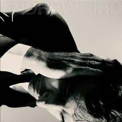 Andrew Bird Inside Problems Vinyl 12" USED