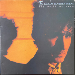 Tav Falco's Panther Burns The World We Knew Vinyl LP USED
