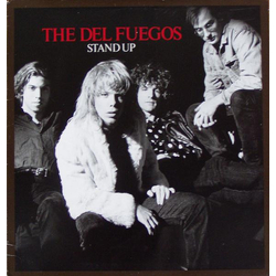 The Del Fuegos Stand Up Vinyl LP USED