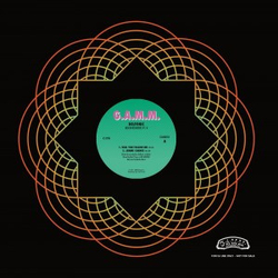 Delfonic Berlin Reworks Pt.II Vinyl 12" USED