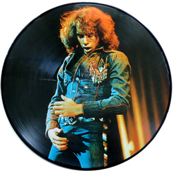 Neil Diamond His 12 Greatest Hits Vinyl LP USED