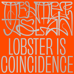Mehmet Aslan Lobster Is Coincidence Vinyl 12" USED