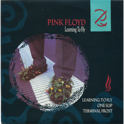 Pink Floyd Learning To Fly Vinyl 7" USED