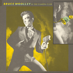 Bruce Woolley And The Camera Club Bruce Woolley & The Camera Club Vinyl LP USED