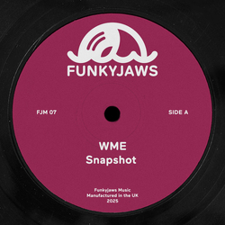 Funkyjaws WME Vinyl 12" USED