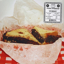 Ty Segall Fudge Sandwich Vinyl LP USED