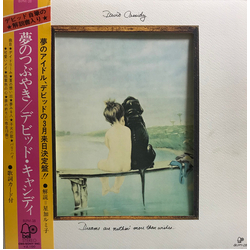 David Cassidy Dreams Are Nuthin' More Than Wishes... Vinyl LP USED
