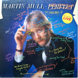 Martin Mull Near Perfect / Perfect Vinyl LP USED