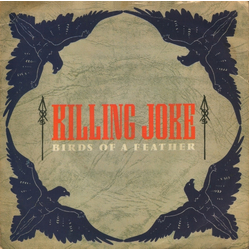 Killing Joke Birds Of A Feather Vinyl 7" USED