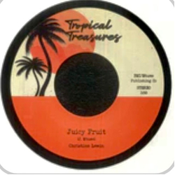 Christine Lewin / Barrington Levy Juicy Fruit / Vibes Is Right Vinyl 7" USED