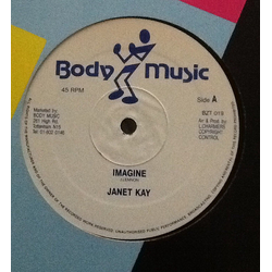 Janet Kay Imagine Vinyl 12" USED