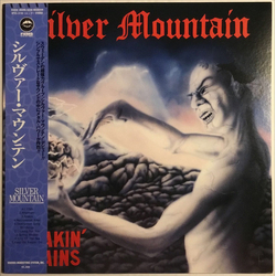 Silver Mountain Shakin' Brains Vinyl LP USED