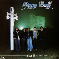 Figgy Duff After The Tempest Vinyl LP USED