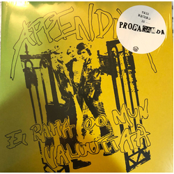 Appendix Ei Raha Oo Mun Valuuttaa Vinyl LP USED