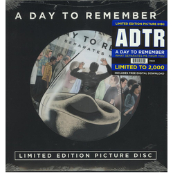 A Day To Remember What Separates Me From You Vinyl LP USED