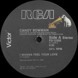 Candy Bowman I Wanna Feel Your Love Vinyl 12" USED