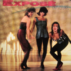 Exposé Exposure Vinyl LP USED