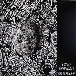 Lucky Dragons Open Power Vinyl 12" USED