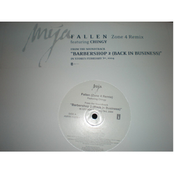 Mya Fallen (Zone 4 Remix) Vinyl 12" USED