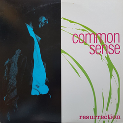 Common Resurrection Vinyl LP USED